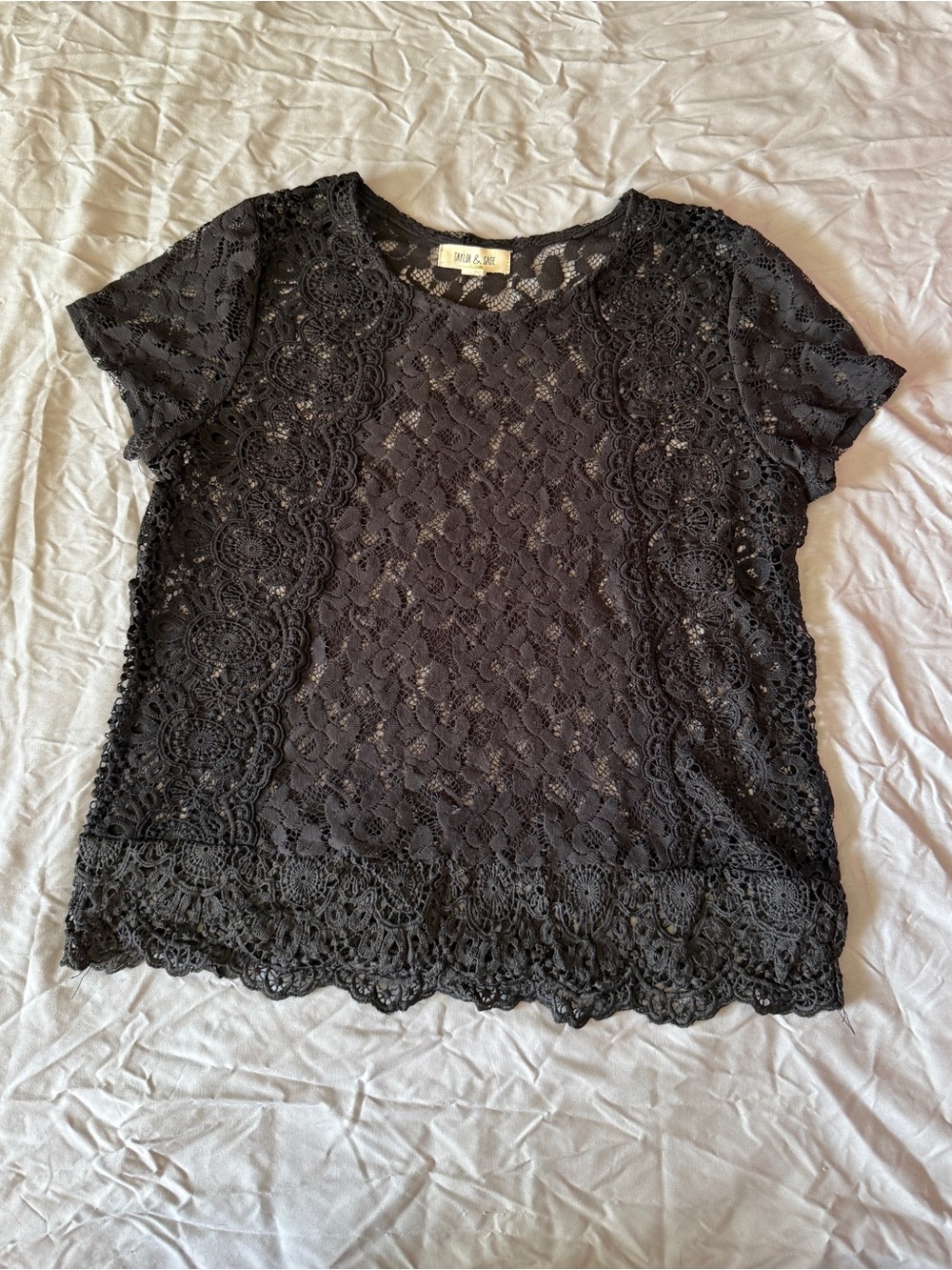 Taylor & Sage Black Lace Short Sleeve Blouse
